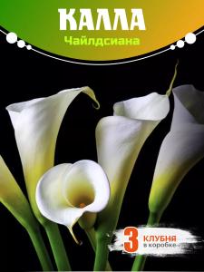 Калла клубни Чайлдсиана 3шт